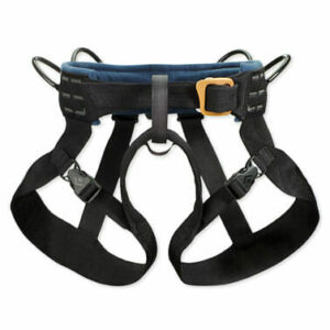 Harness